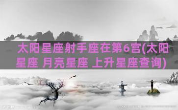 太阳星座射手座在第6宫(太阳星座 月亮星座 上升星座查询)